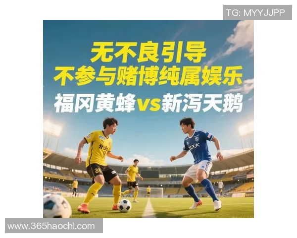 福冈黄蜂迎战新谢天鹅全力争胜展现球队实力与风采
